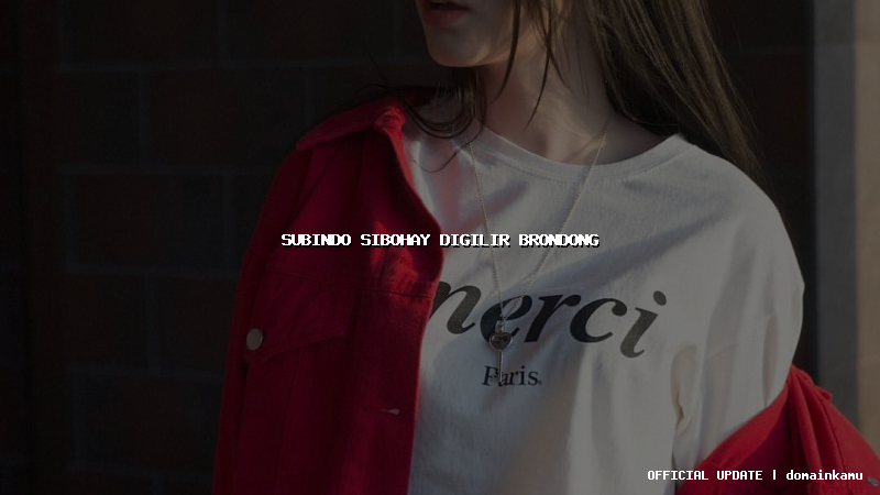 subindo sibohay digilir brondong